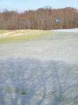 Snow and Shadow Oaks w8.JPG